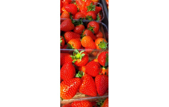 pierwszej klasy truskawki na giełdzie DeFood, idealne dla smakoszy świeżych owoców.