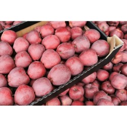 Świeże jabłka na sprzedaż na giełdzie DeFood, doskonałe do spożywania na surowo, pieczenia ciast, czy robienia zdrowych soków.