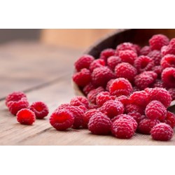 Maliny z certyfikatem...