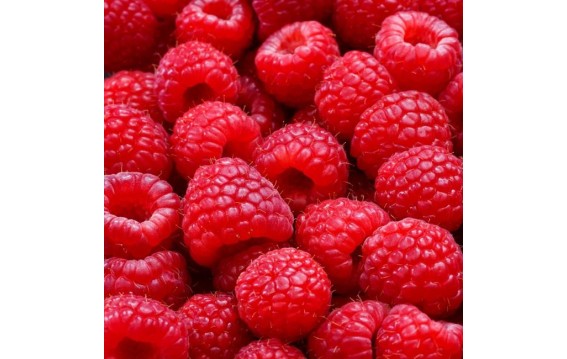 Malina deserowa dostępna na giełdzie DeFood, znana ze swojej słodyczy i aksamitnej tekstury, idealna na specjalne okazje.