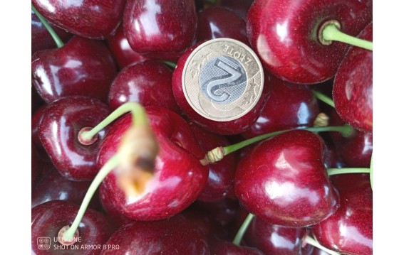 Kupuj Polskie czereśnie na DeFood. Najwyższa jakość, dostępna bezpośrednio z naszej platformy wymiany rolniczej.