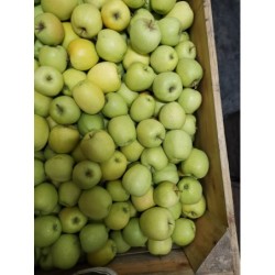 Jonaprince, Golden...