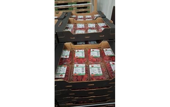 Odkryj świeże maliny na DeFood. Zakup najwyższej jakości owoce prosto z naszej platformy wymiany rolniczej.