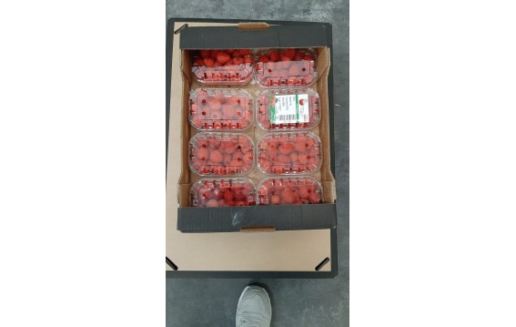 Odkryj świeże maliny na DeFood. Zakup najwyższej jakości owoce prosto z naszej platformy wymiany rolniczej.