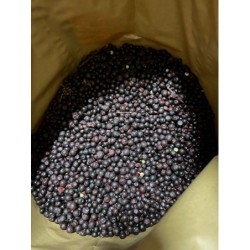 Wild blueberries L