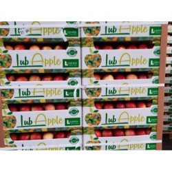 პოლონური ვაშლი 