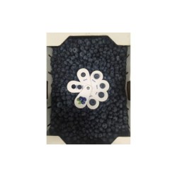 Blueberries from Serbia...