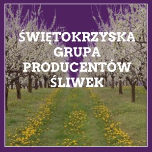 Zakontraktuj sezon już teraz