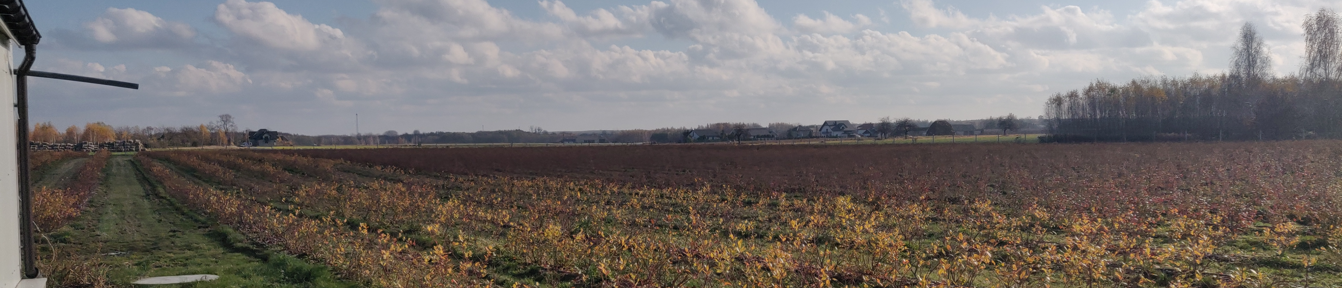 Gospodarstwo Rolne Przemysław Szymczak