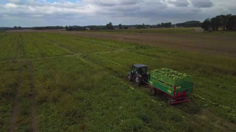 Gospodarstwo Rolne Robert Długołęcki