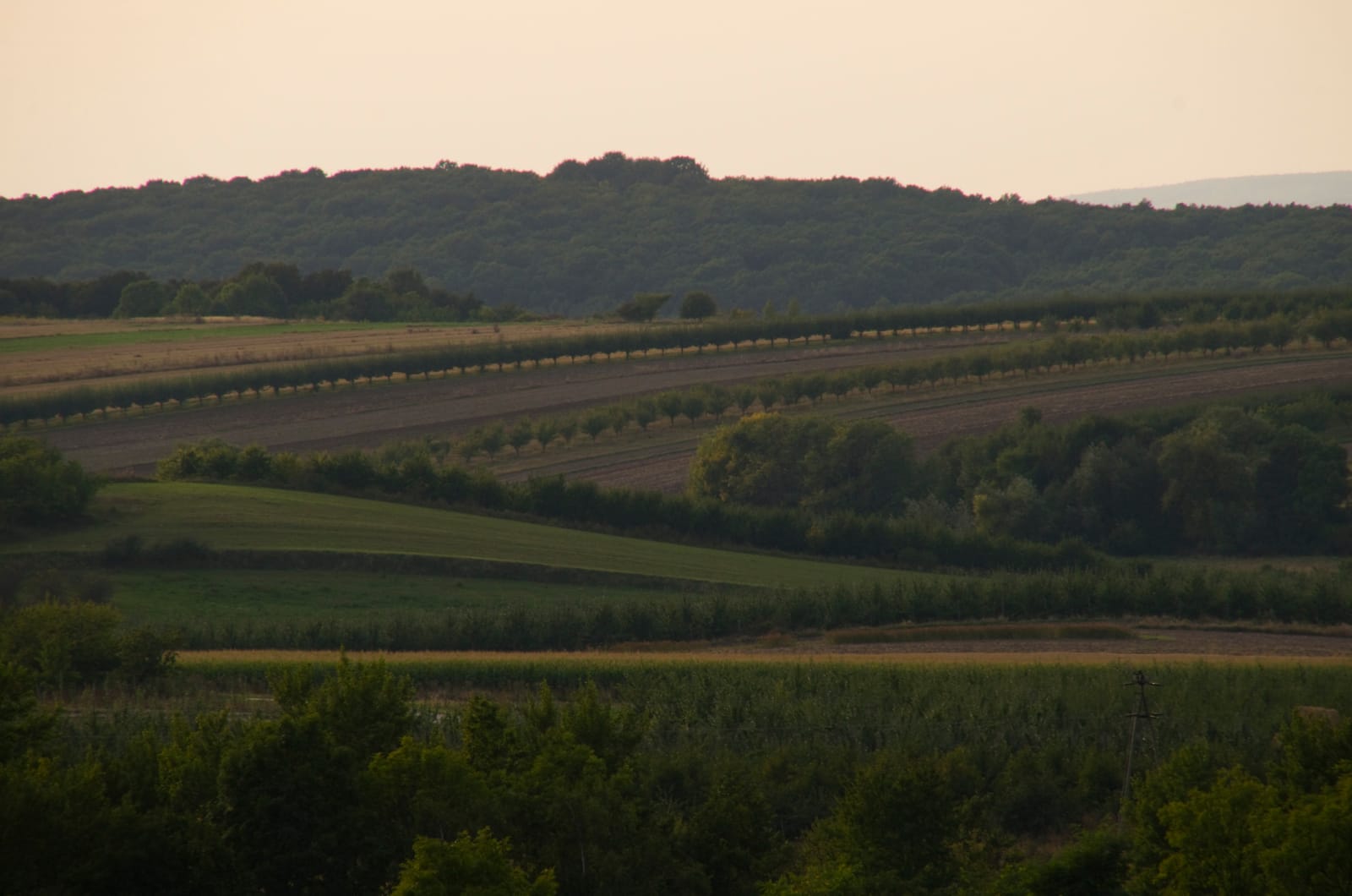 Gospodarstwo Rolne Marcin Żak