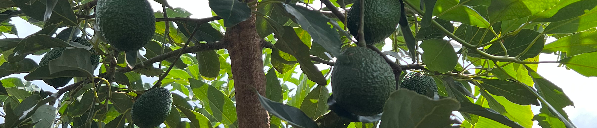 Winning Creatives Ltd 