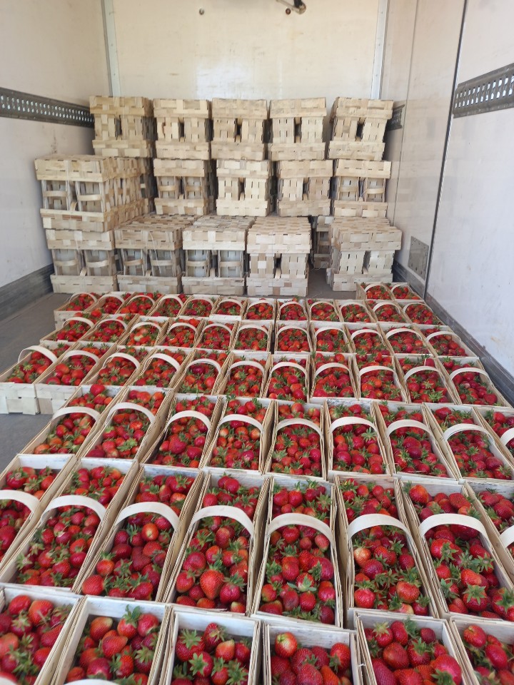 Gospodarstwo Rolne Mariusz Turkowski