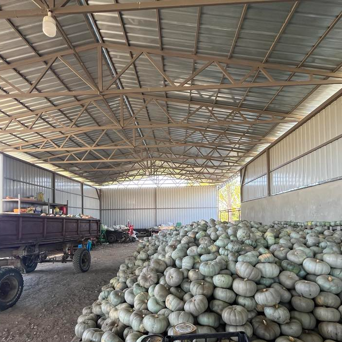 LTD Davit Chkhitunidze