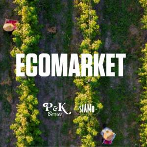 Raspberry Eco Market LTD