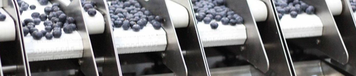 Blueberry Farm Ltd (Bluebird)