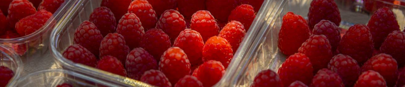 AGROSTORE GEORGIA (TM SIAMO)