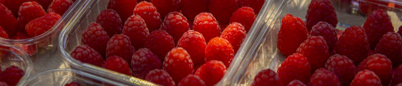 AGROSTORE GEORGIA (TM SIAMO)