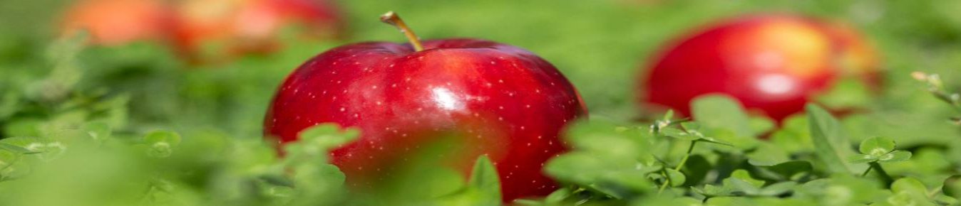 Tiriphoni Fruits LLC