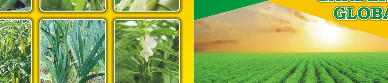 Garden to global exports pvt ltd