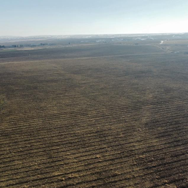 Tornike Mchedlishvili