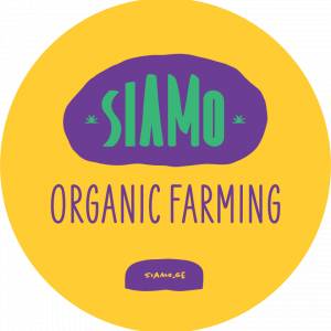 AGROSTORE GEORGIA (TM SIAMO)