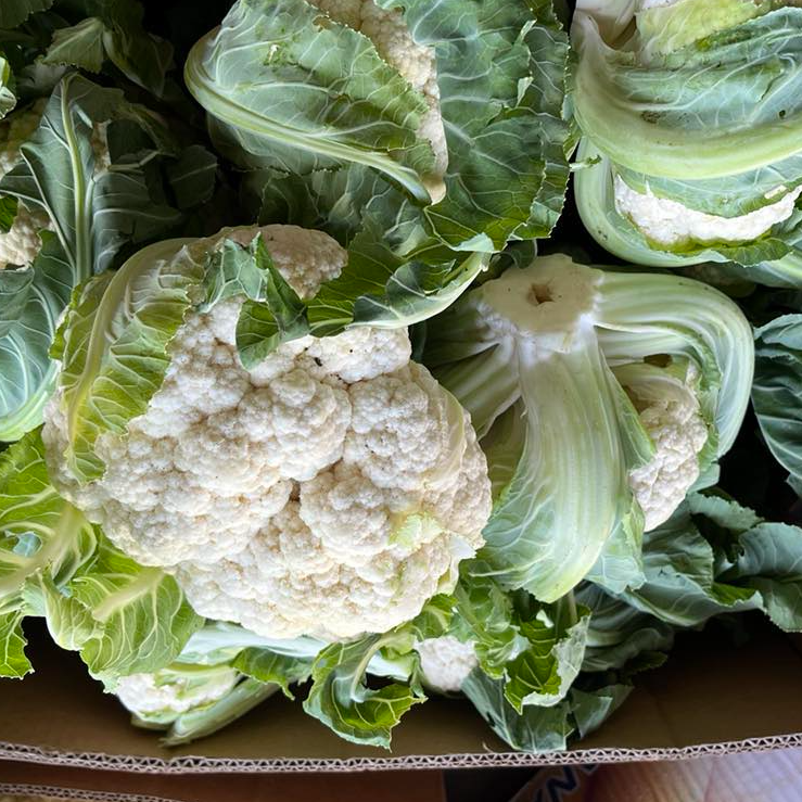 LTd Giorgi Khuroshvili